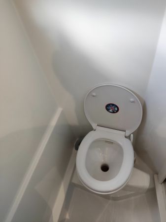 Bali Catspace | Pinnacle Cat