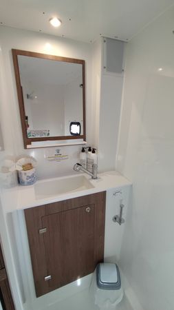 Bali Catspace | Pinnacle Cat