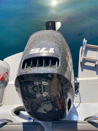 Marshall M4 Touring | California