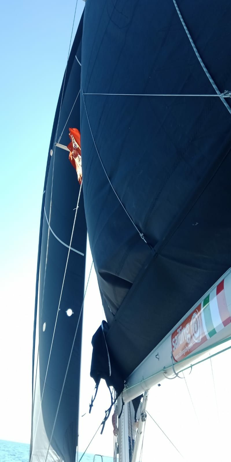 More 40 | Black Widow