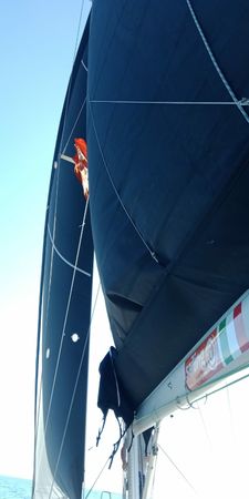 More 40 | Black Widow