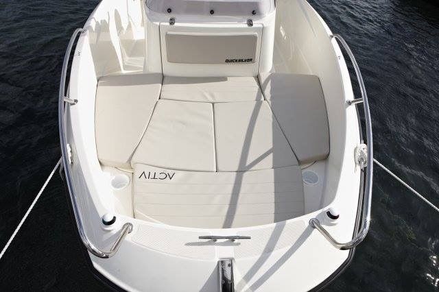 Quicksilver 505 | 19