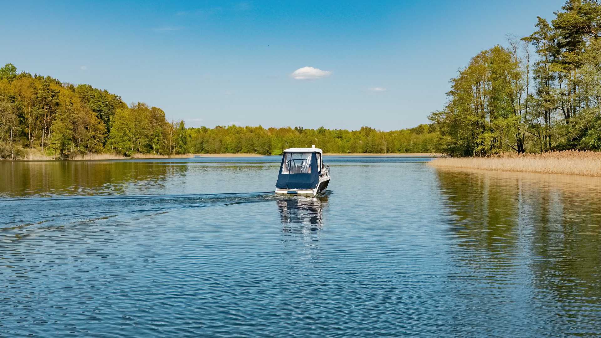 Coral 750 | Hard Top