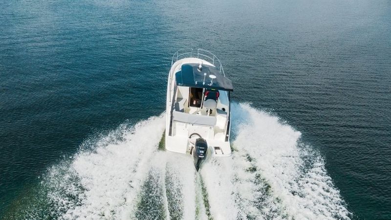 Balt 818 Tytan | Porcupine