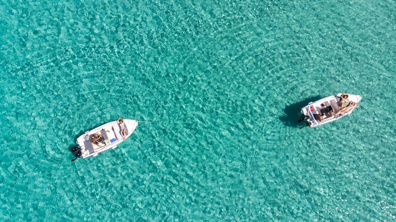 Assos 450 | Margarita