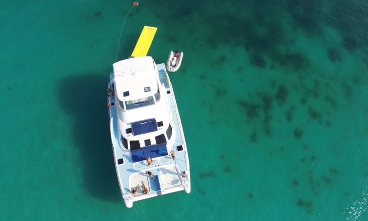 Powerplay 52 | Playmate