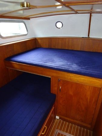 Pedro 1000 | Brandaris