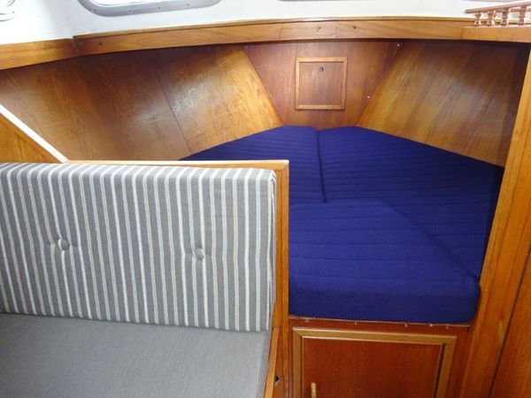 Pedro 1000 | Brandaris