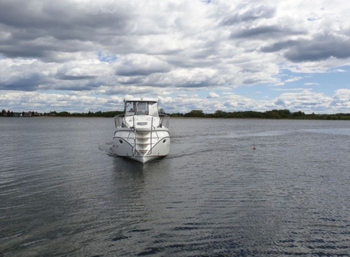 Tes 393 | Illuminatus Pelikan