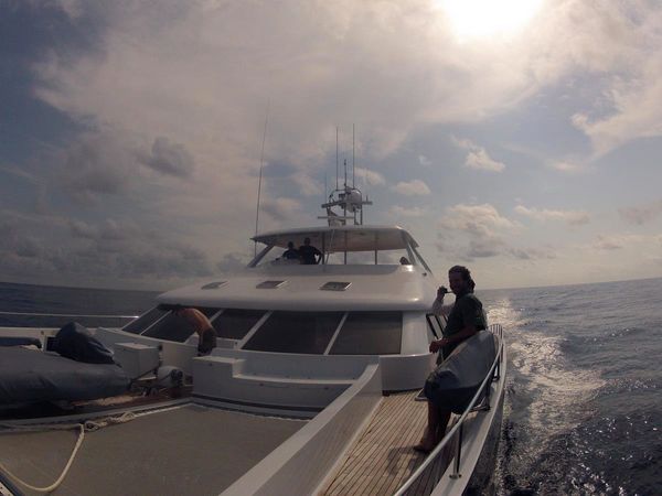 Two Oceans 750e | Quo Vadis