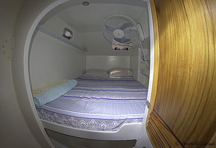 Custom Built Trimaran | Sesame