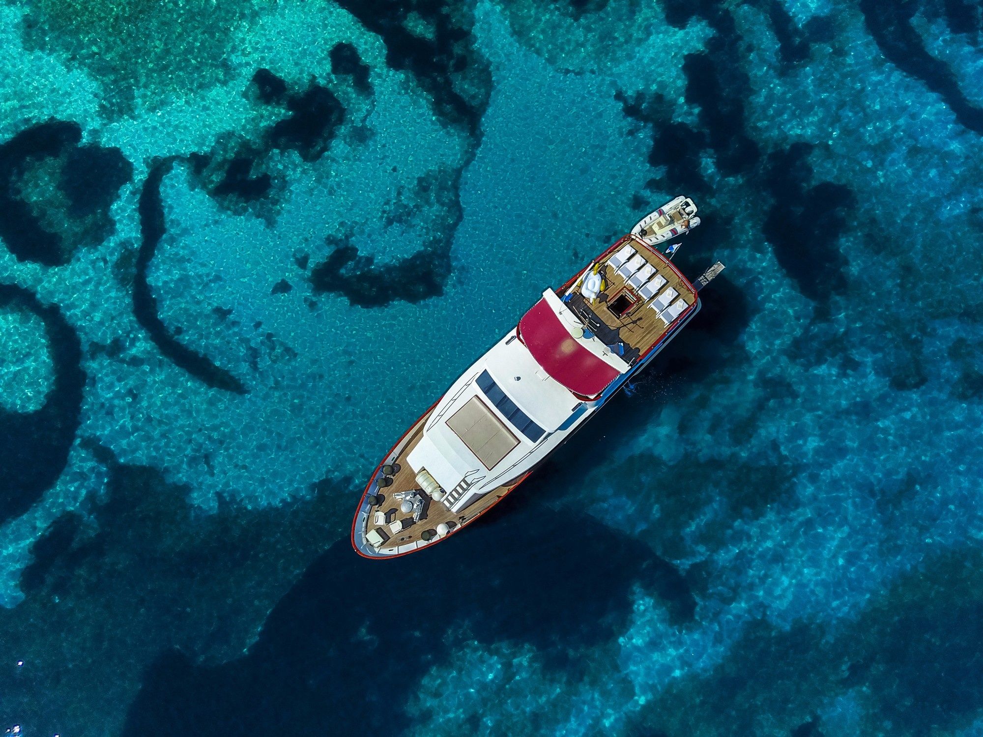 Custom Built 82 | Korab