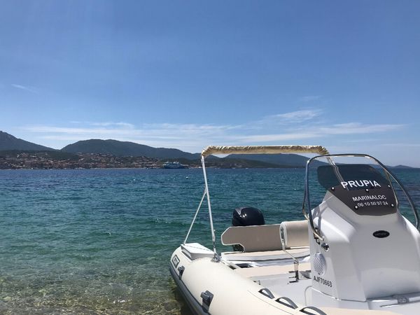 Valiant 685 | Prupia