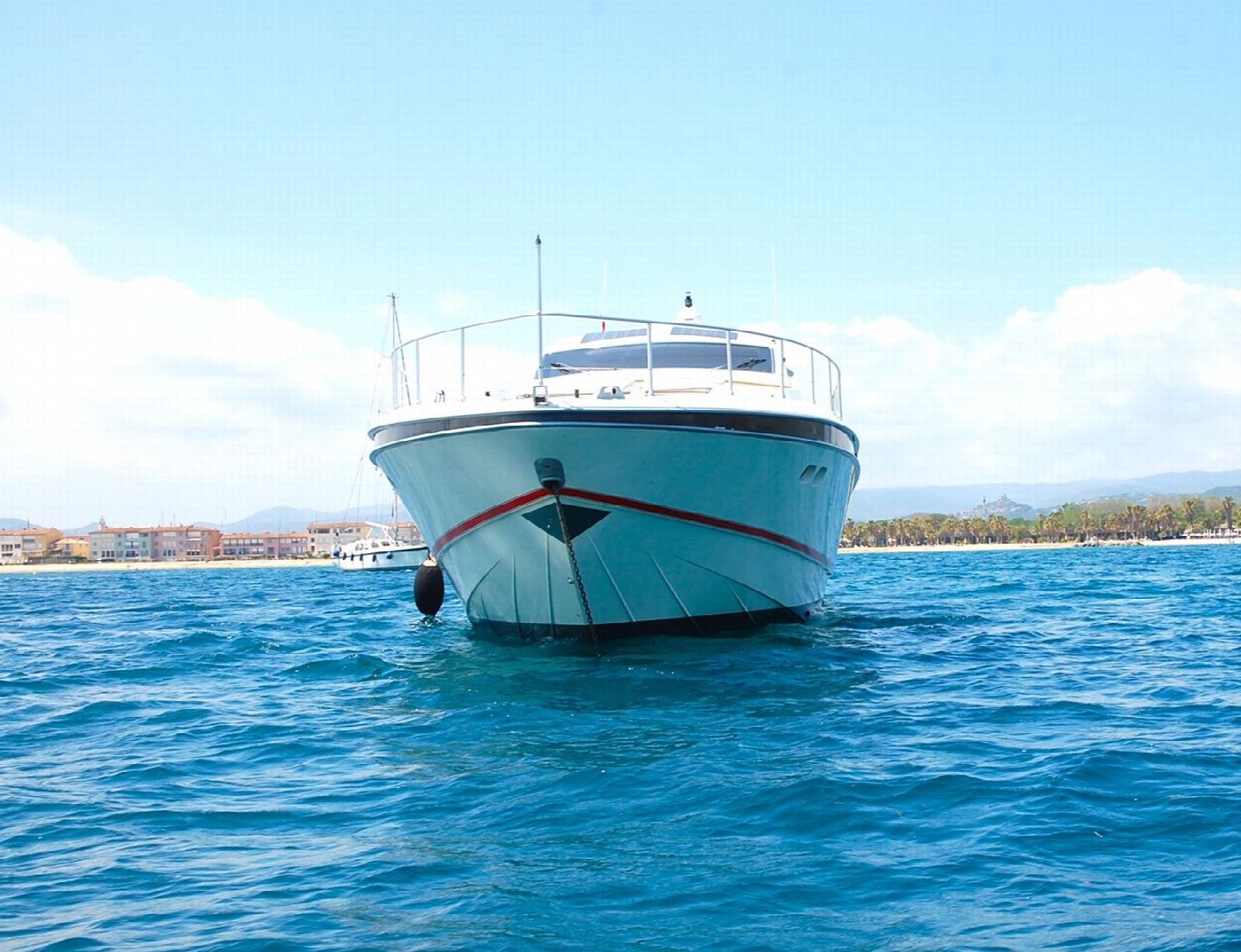 Leopard 23 | Madness