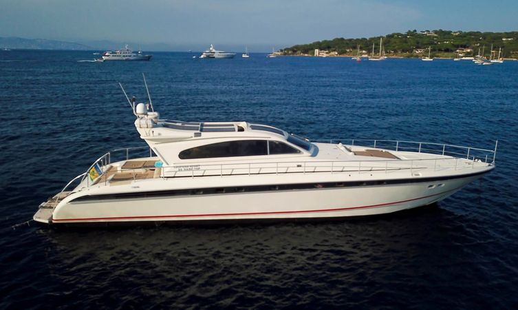 Leopard 23 | Madness