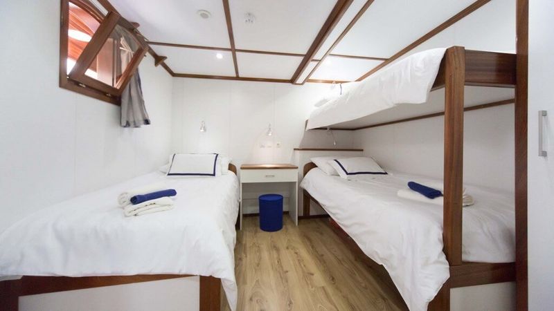 Custom Built 124 | Splendid