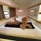 Fountaine Pajot Isla 40 | Nomad