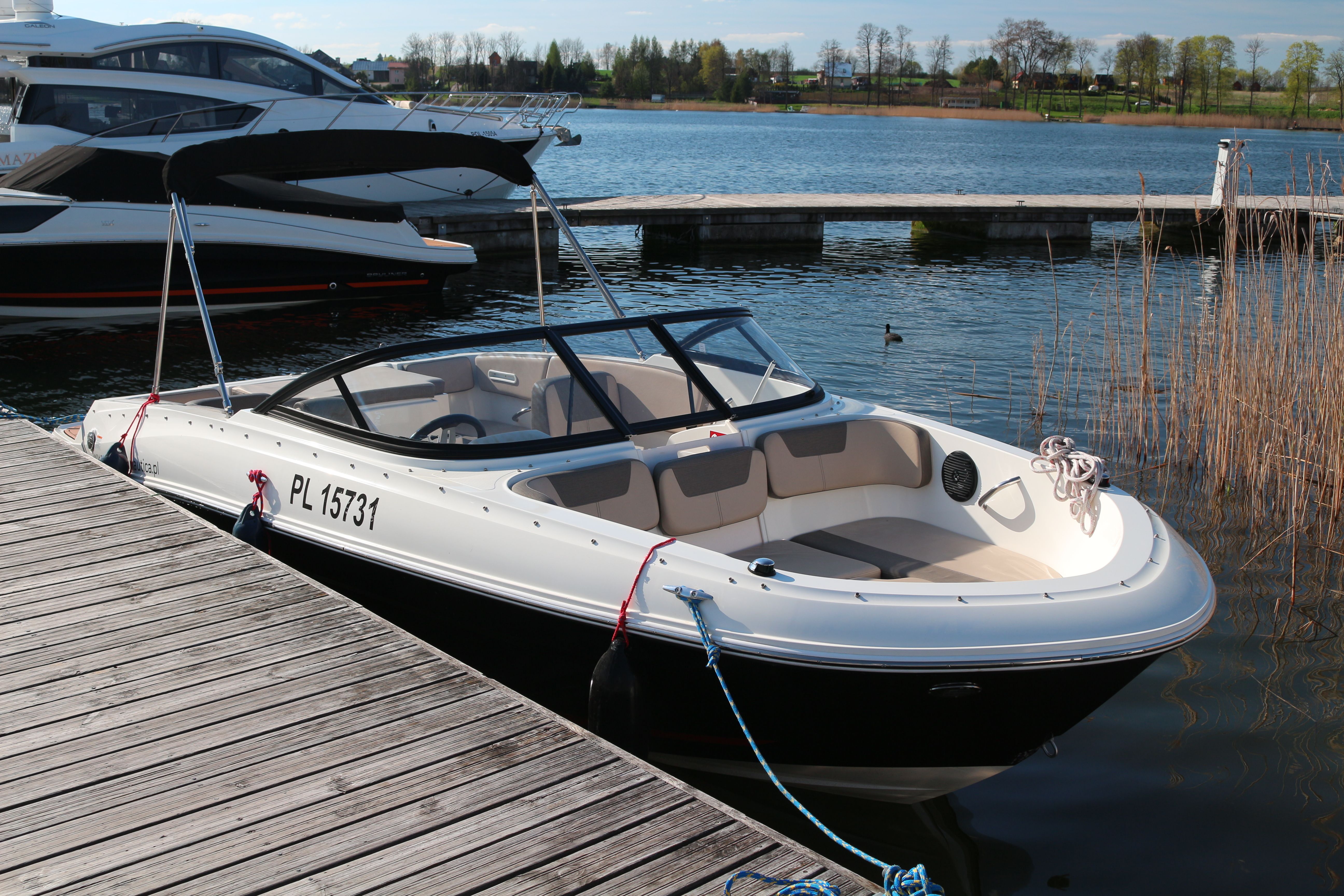 Bayliner vr4 discount