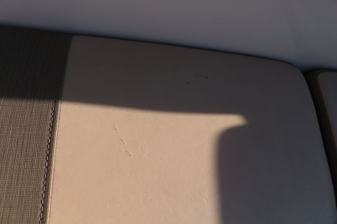 Bayliner VR4 | Monaco