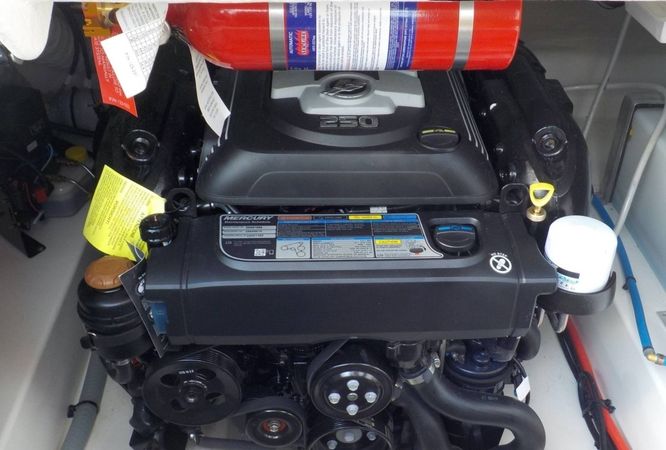 Bayliner VR6 Cuddy | Marta