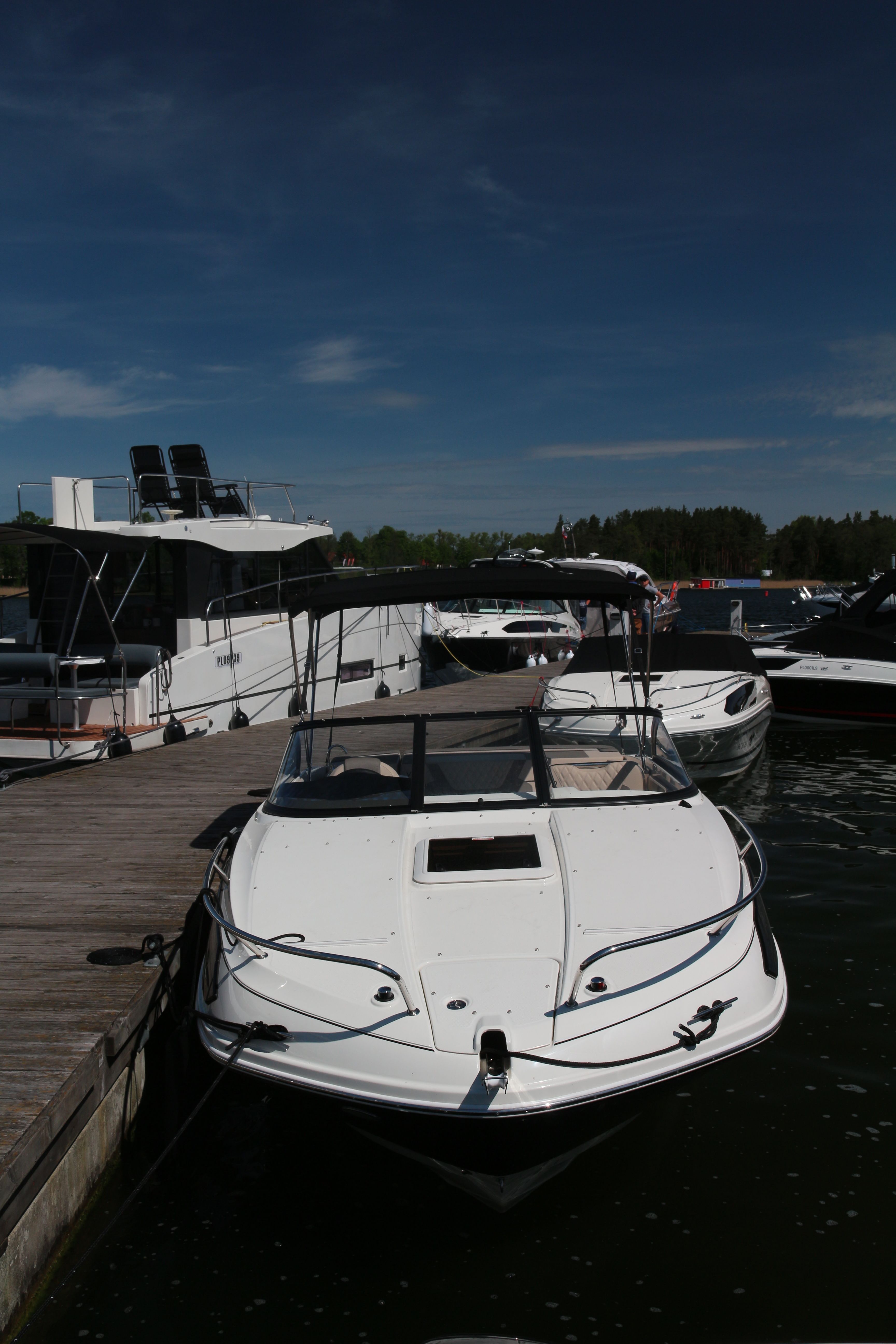 Bayliner VR6 Cuddy | Polly