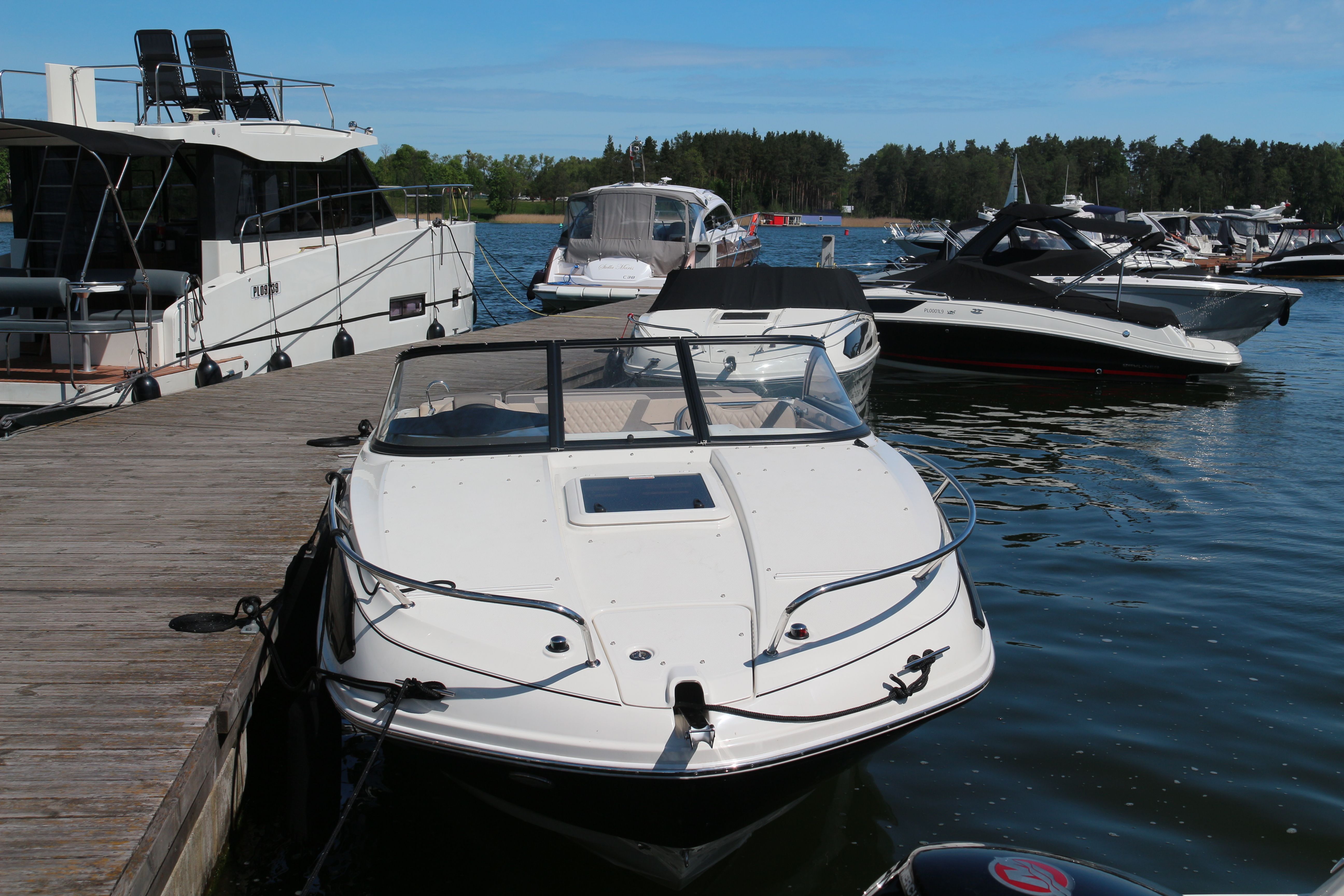 Bayliner VR6 Cuddy | Polly