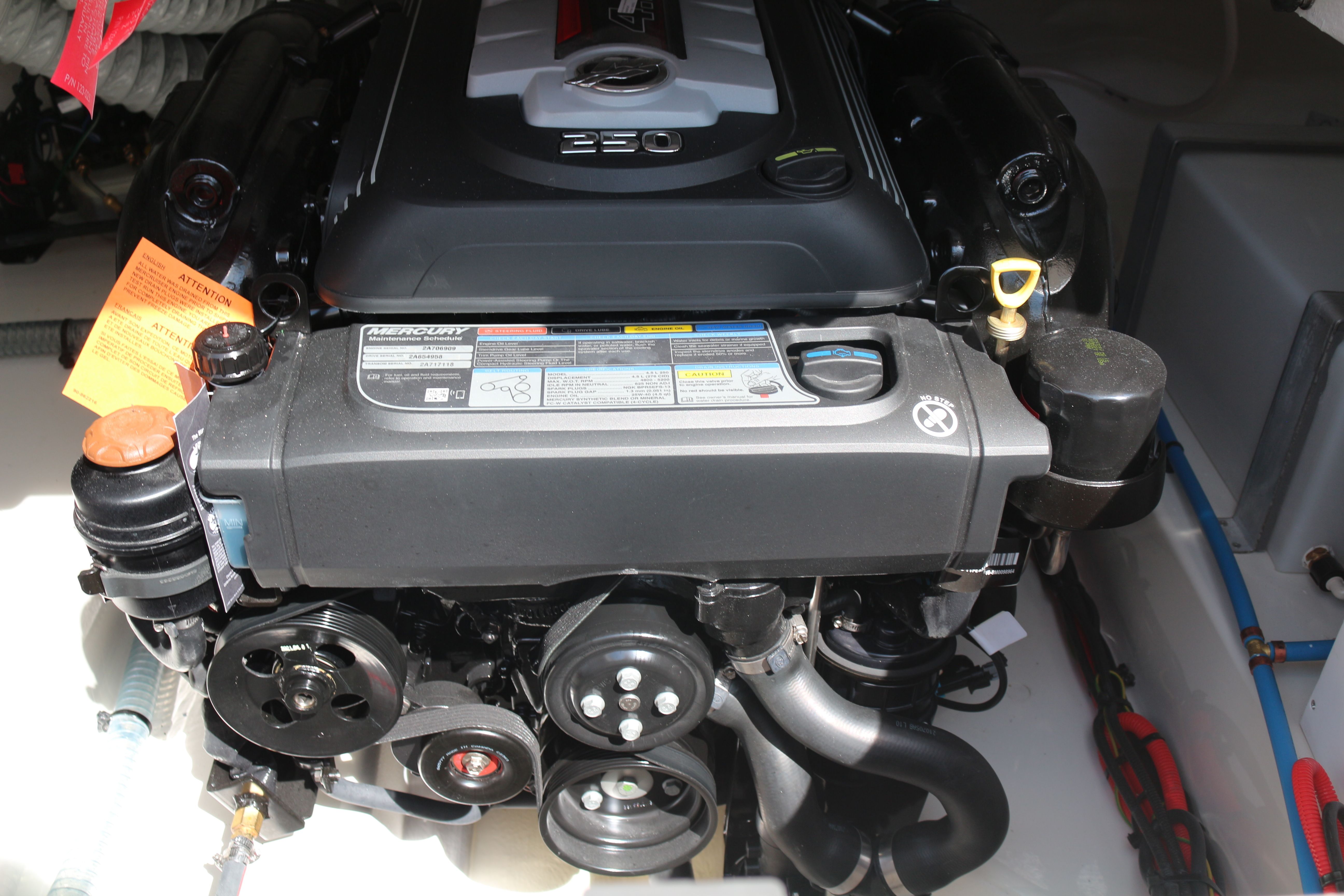 Bayliner VR6 Cuddy | Polly