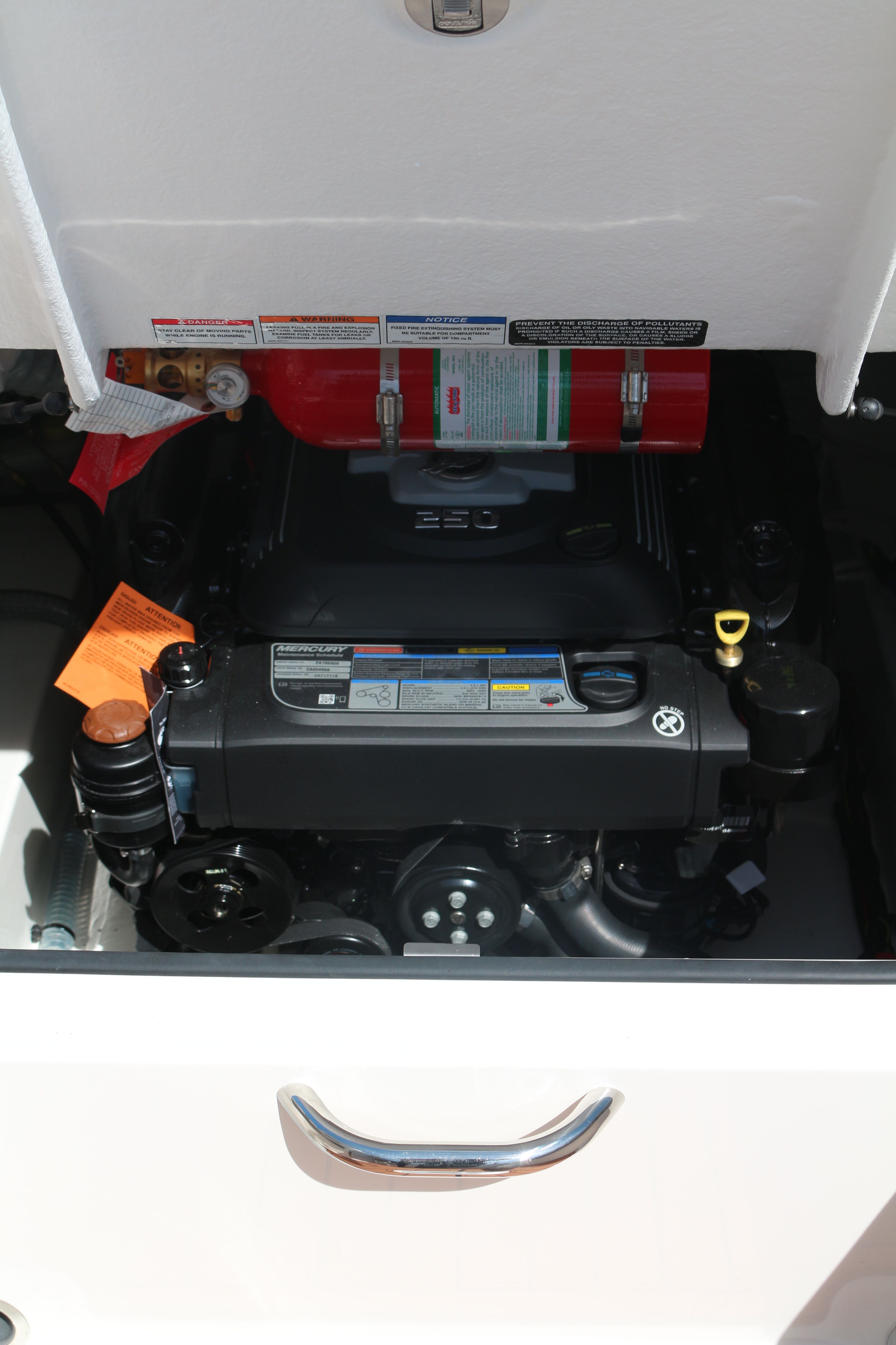 Bayliner VR6 Cuddy | Polly