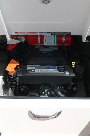 Bayliner VR6 Cuddy | Polly