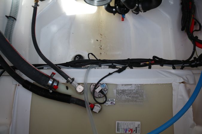 Bayliner VR6 Cuddy | Polly