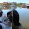 Bayliner Ciera 8 | Sirocco