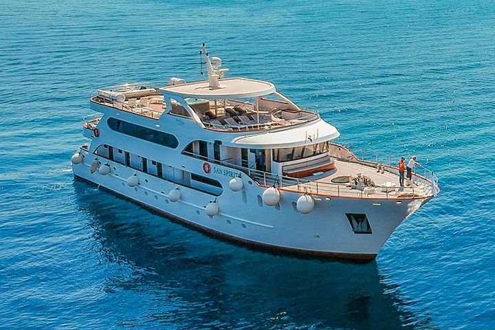 Custom Built 135 | San Spirito