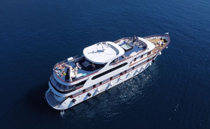 Custom Built 131 | Invictus