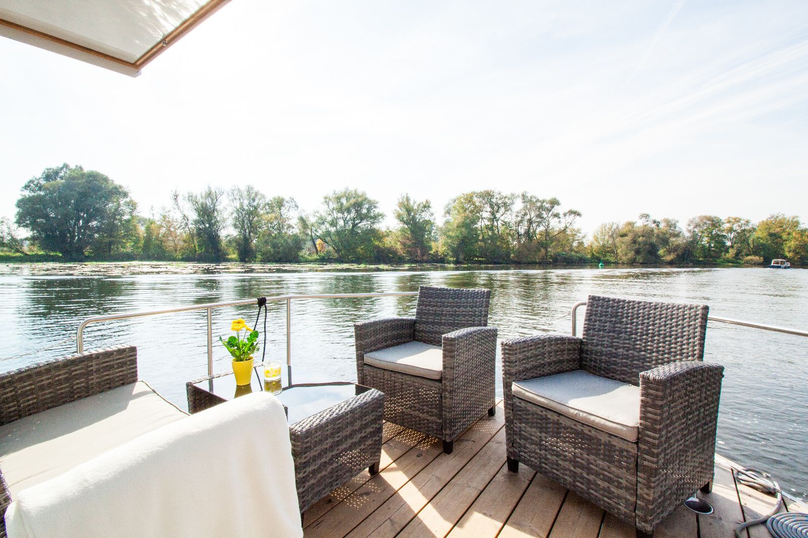 Rollyboot 8.2 | TinTin