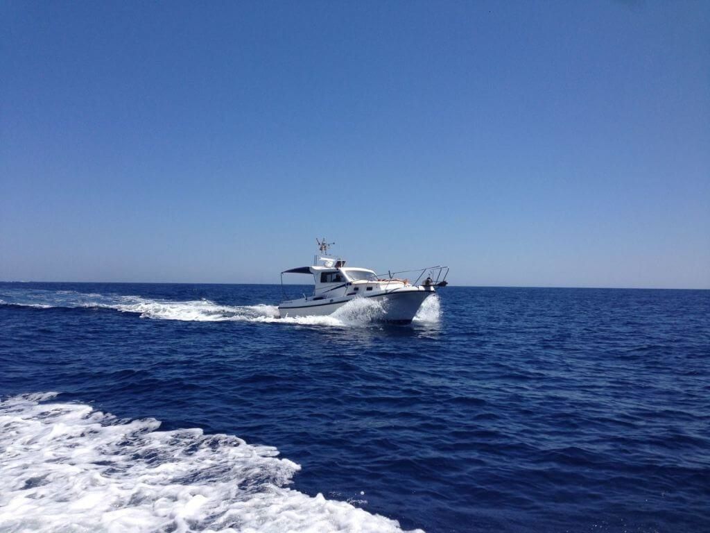 Blasco 80 | Fetch Uno