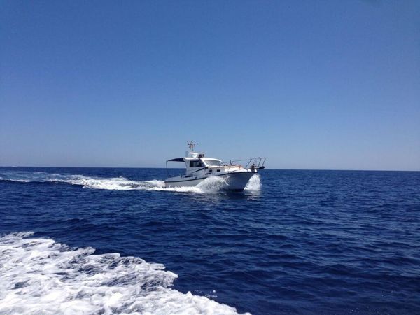 Blasco 80 | Fetch Uno