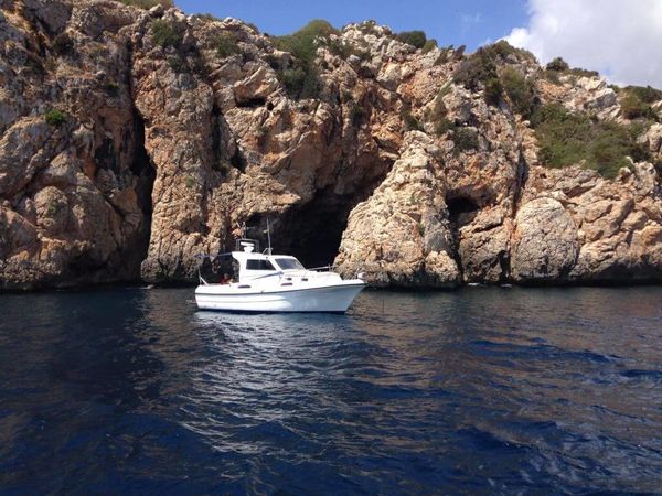 Blasco 80 | Fetch Uno