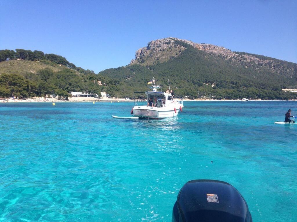 Blasco 80 | Fetch Uno