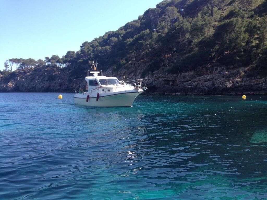 Blasco 80 | Fetch Uno