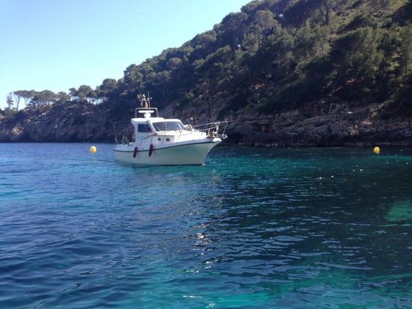 Blasco 80 | Fetch Uno