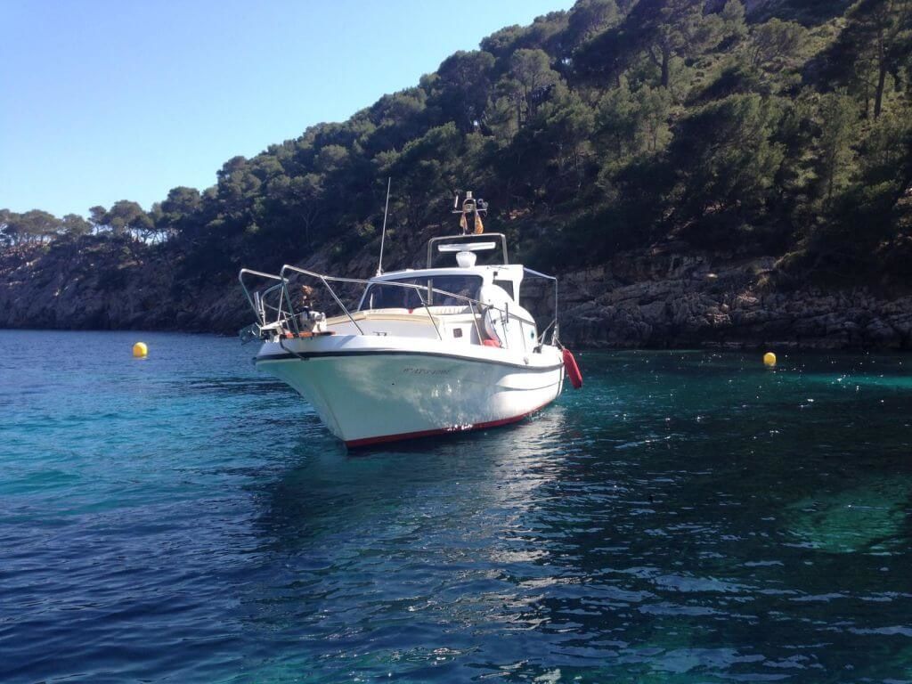 Blasco 80 | Fetch Uno