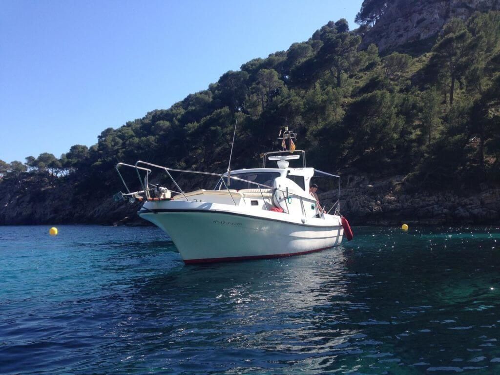 Blasco 80 | Fetch Uno