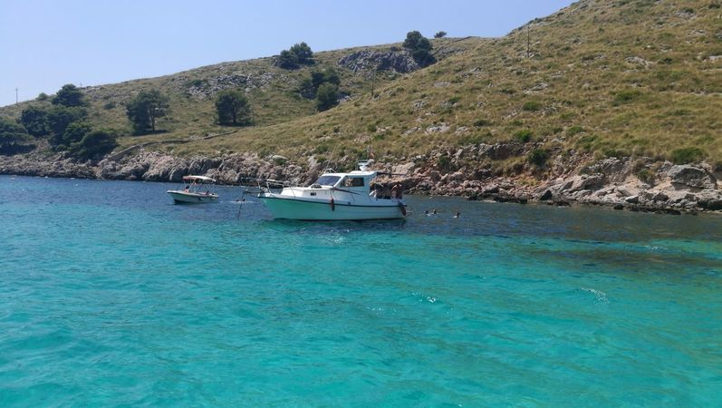 Blasco 80 | Fetch Uno