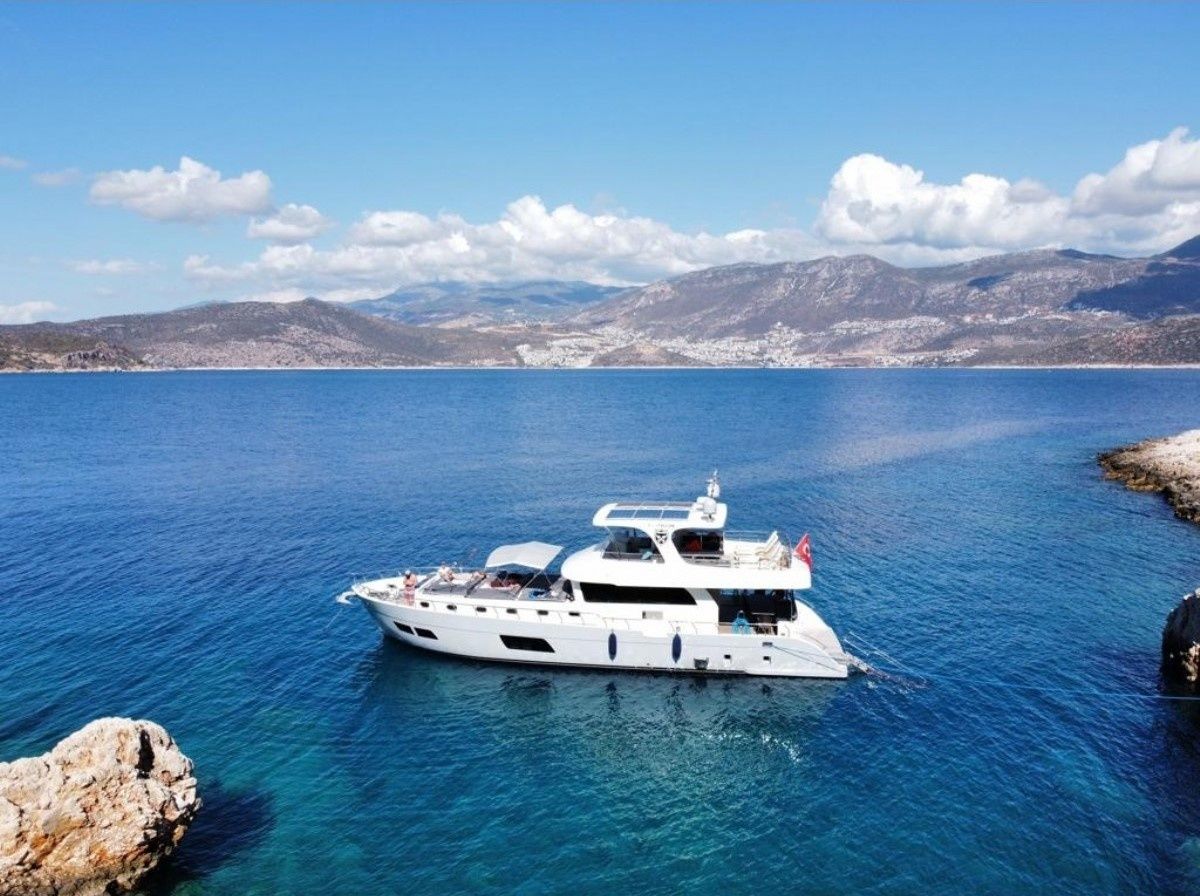 Custom Built 10 | Royal Falcon