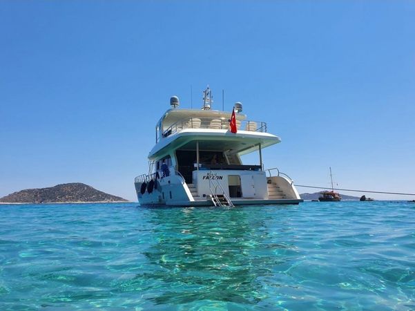 Custom Built 10 | Royal Falcon