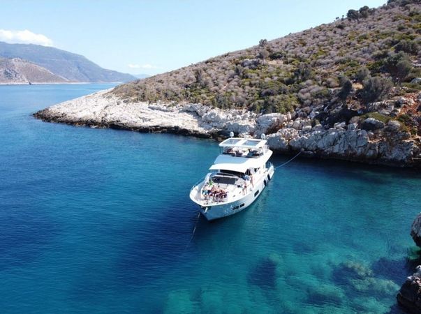 Custom Built 10 | Royal Falcon