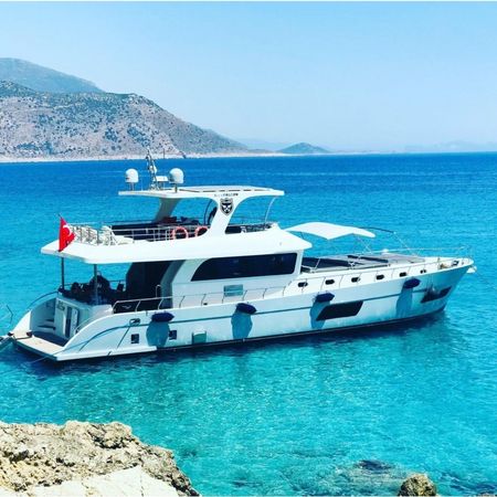 Custom Built 10 | Royal Falcon