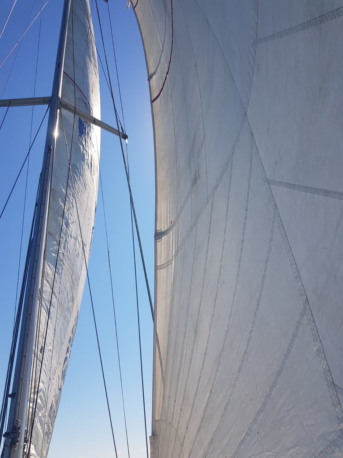 Archambault 40 | Ann