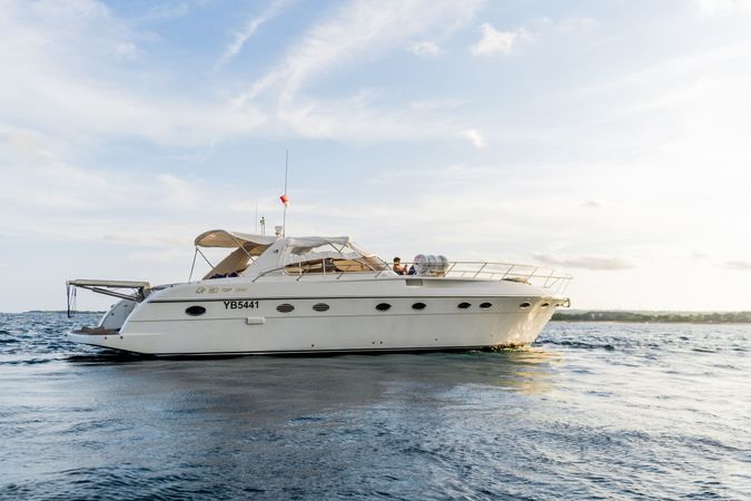 Rizzardi 50 | Forever