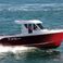 Quicksilver 280 Avor | Enez Vran 2